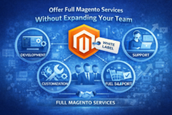 Offer Full Magento Services Without Expanding Your Team