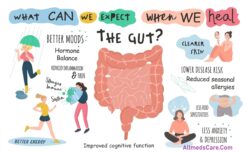 Gut Health