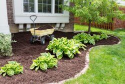 Mulching Services Brisbane