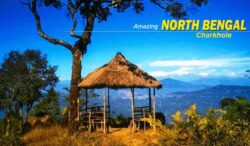 North Bengal Package Tour – A Journey Through Hills, Forests & Tea Gardens