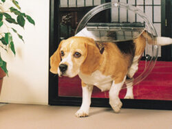 Pet Door Installation Perth