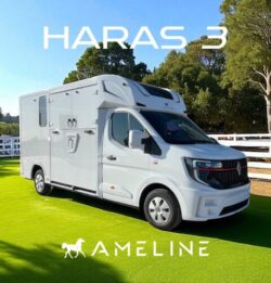 Perfect for the Pair: High-Quality 2 Horse Truck Options