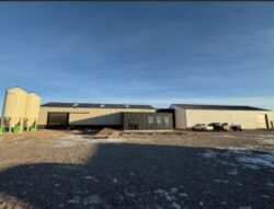 Seed sorting Montana