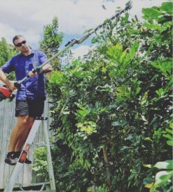 Lawn Mowing Bronte