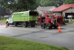 🌿 Professional Arborist Service in Muskoka & Barrie