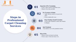 Steps Involved in Professional Carpet Cleaning Services