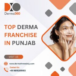 Top Derma Franchise in Panchkula | Derma360 Private Limited