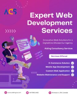 Elevate Your Digital Presence with Expert Web Development!