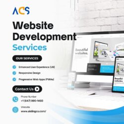 Professional Website Development Services | Aisling Consultancy Services