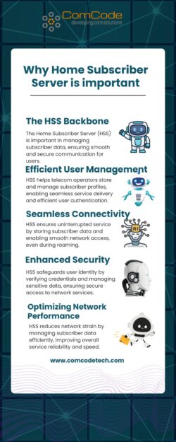 Why Home Subscriber Server is important?