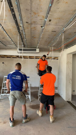 Builders in Wollstonecraft