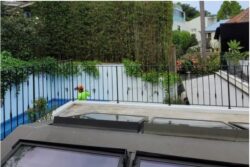 Tree Removal North Sydney