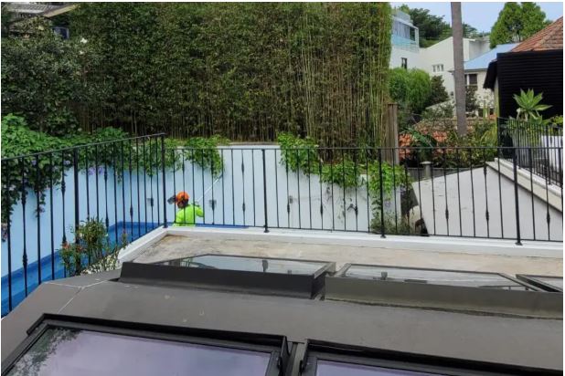 Tree Removal North Sydney