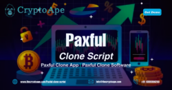 Launch a Profitable P2P Crypto Marketplace with a Paxful Clone Script