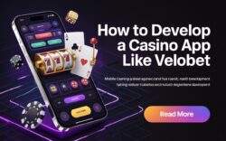 How to Develop a Casino App Like Velobet