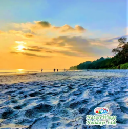 Andaman Package Tour from Kolkata for a Memorable Island Trip