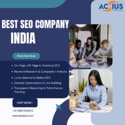 Best SEO Company in India