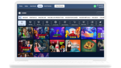 Online Casino Software Provider