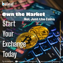 Own the Market, Not Just the Coins – Start Your Exchange Today