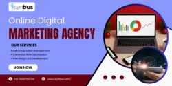 How to Choose the Right Digital Marketing Agency in Noida?