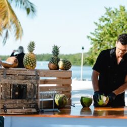 Buy Fresh Coconuts Florida