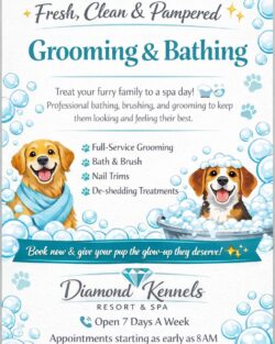 Professional Dog Grooming & Bathing Services in Lewisburg, OH