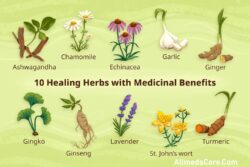 Healing Herbs for living Good Life.