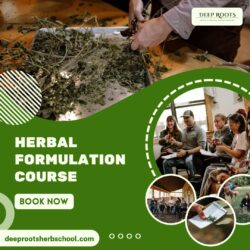 Advanced Herbal Formulation Course | Deep Roots Herb School
