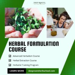 Herbal Formulation Course for Advanced Natural Medicine Making Skills