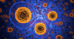 Is Mesenchymal Stem Cell Therapy Ideal for Mild ED?