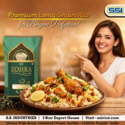 Premium Long Grain Rice for Biryani Perfection
