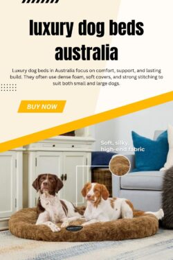 Premium Comfort Dog Beds Designed for Style & Support