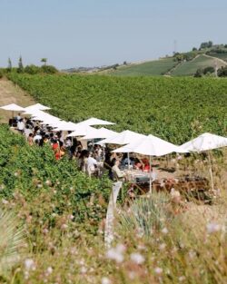 Luxury Event Planning Services