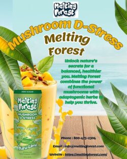 Melting Forest