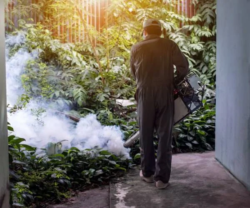 Professional Mosquito Control in Sydney for Safer Outdoor Living Spaces