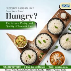 Premium Basmati Rice | Taste the Aroma, Feel the Quality