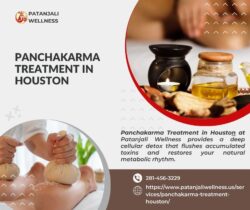 Panchakarma Treatment in Houston
