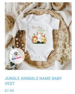 Pregnancy announcement vest