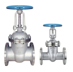 Stainless Steel 304 Handwheel Flange Gate Valve