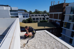 Plumber Bangalow