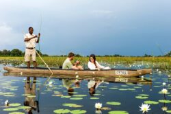Top 5 adventures not to miss on Botswana Safari tours