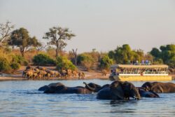 Top 5 safari destinations to visit on Botswana safari