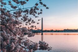 Top Spring Break Destinations for Families on a Budget