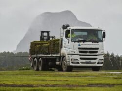 Trusted Freight Company Brisbane with Sunshine Coast Freight Services
