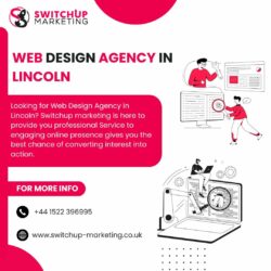 Web Design Agency in Lincoln