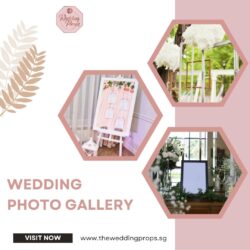Wedding Photo Gallery for Every Special Moment
