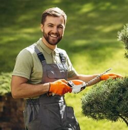 Fencing and Landscaping Services for Durable Outdoor Areas