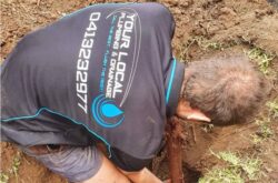 Plumber Ormond