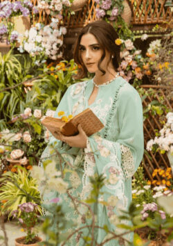 Shop Affordable Pakistani Suits UK – Style Within Budget
