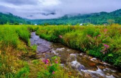 Experience the Land of Dawn-Lit Mountains: Premium Arunachal Tour Package from Guwahati